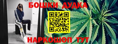 apvp Обь