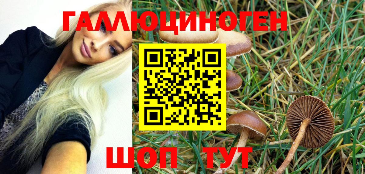 Галлюциногенные грибы MAGIC MUSHROOMS Тамбов