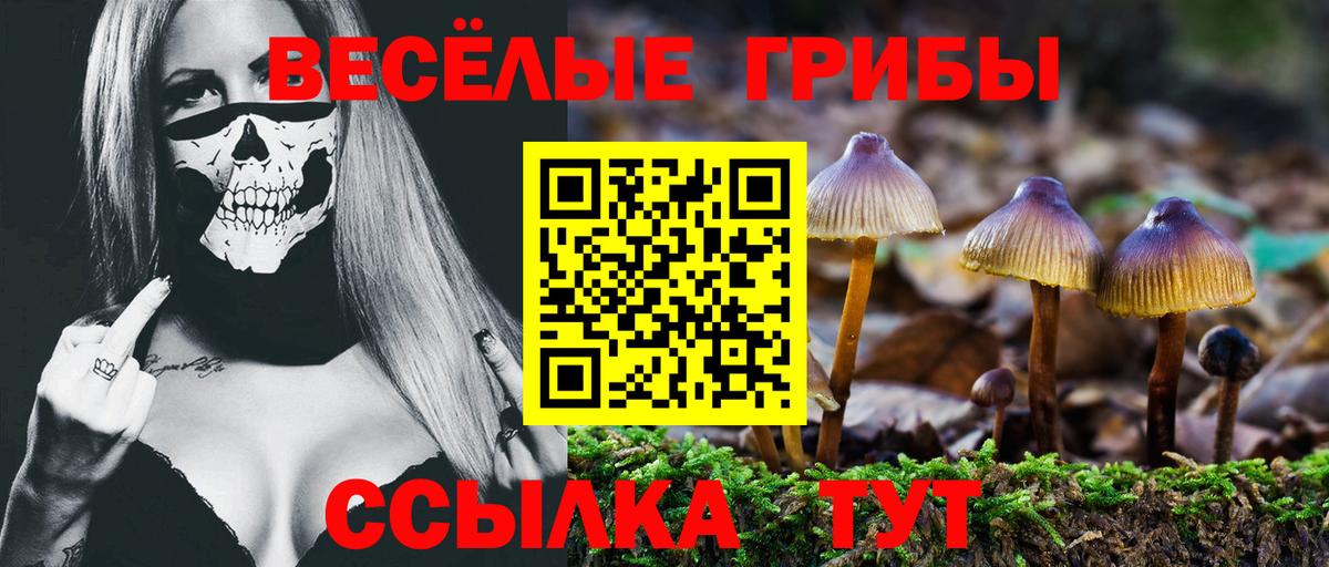 Галлюциногенные грибы мицелий  Псилоцибиновые грибы мухоморы  Тамбов  Вход с VPN 
